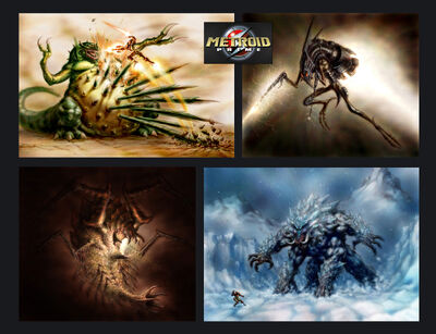 24 Metriod Prime Concepts