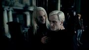 Lucius draco