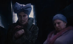 Aunt Sponge and Aunt Spiker