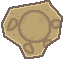 Mine Skull Fossil