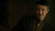 Petyr 1x07