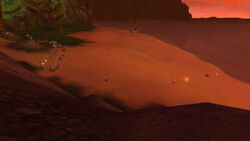 TranquilCoast