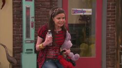 Stacey