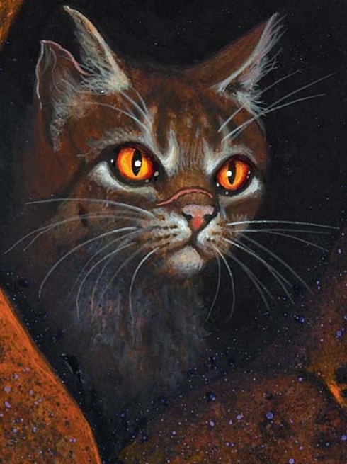 Scourge Warrior Cats Wikia Scourge Warrior Cats Wikia