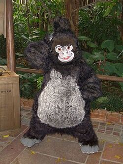 Terk HKDL