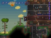 Survival techniques