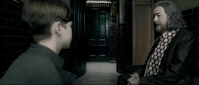 Scene Post Credit I Segreti Di Silente