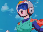 Videl 6