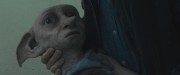 Harry holding dobby