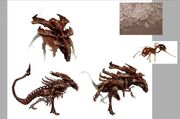 Normal aliencconcept39