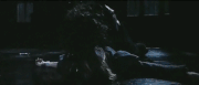 Hermione and Bellatrix