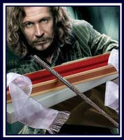 SiriusBlacksWand-1