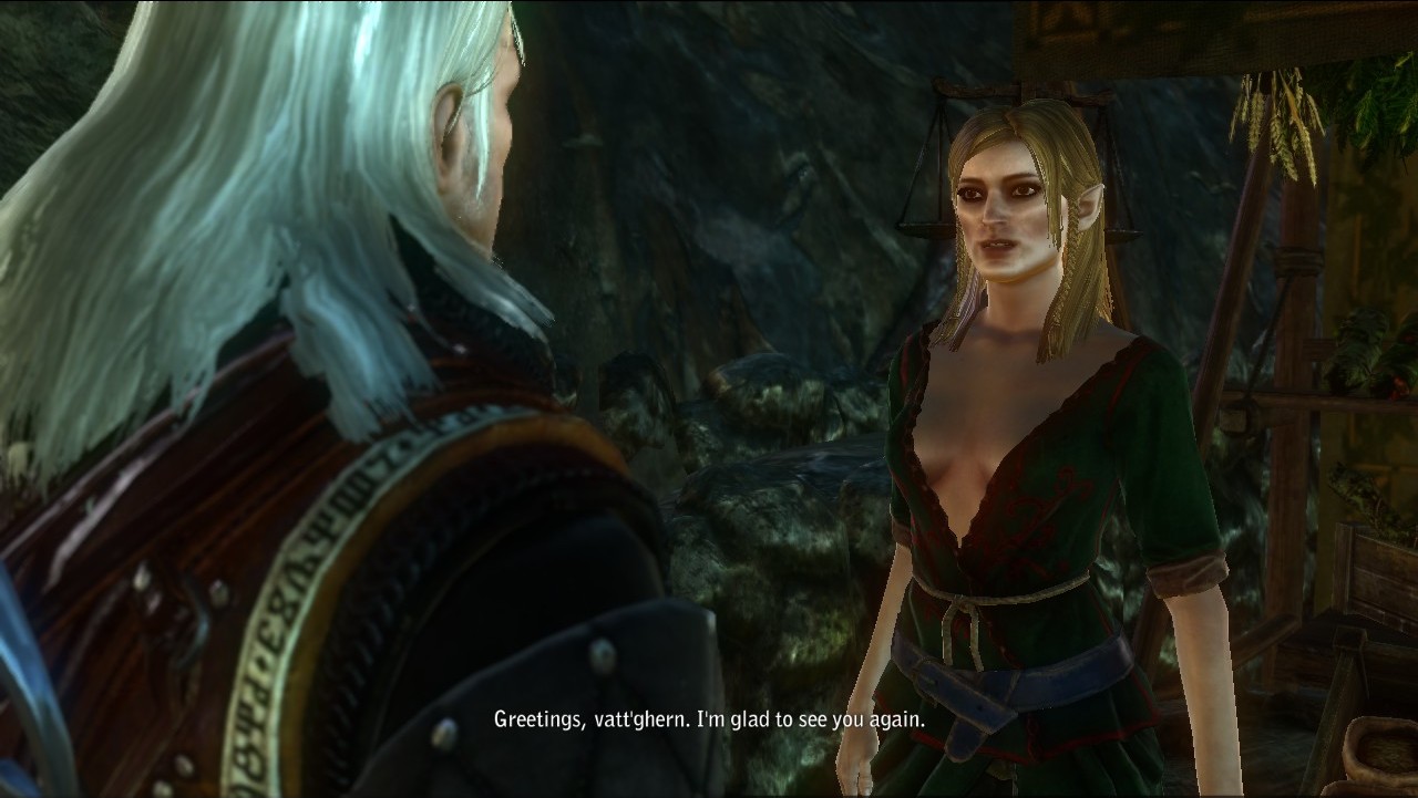 The Witcher 2 Romance The Witcher Wiki