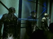 STTE-Borg