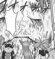 Brawly witnesses the burning of Fortree City
