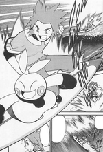 Brawly surfing