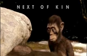 Kin