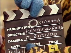Fbiondo