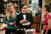 THE-BIG-BANG-THEORY-The-Pulled-Groin-Extrapolation-Season-5-Episode-3-10
