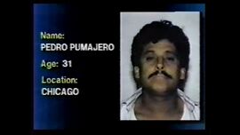 Pedro pumajero