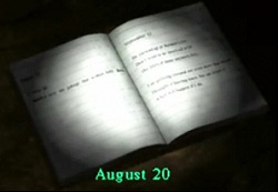 IndianRunnerDiary
