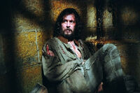Sirius black