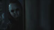 PLL213-01089