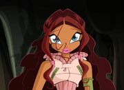 Aisha a.k.a. Layla (Rai)