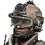 Iw5 cardicon tank crew