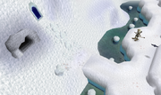 Polar eagle eyrie