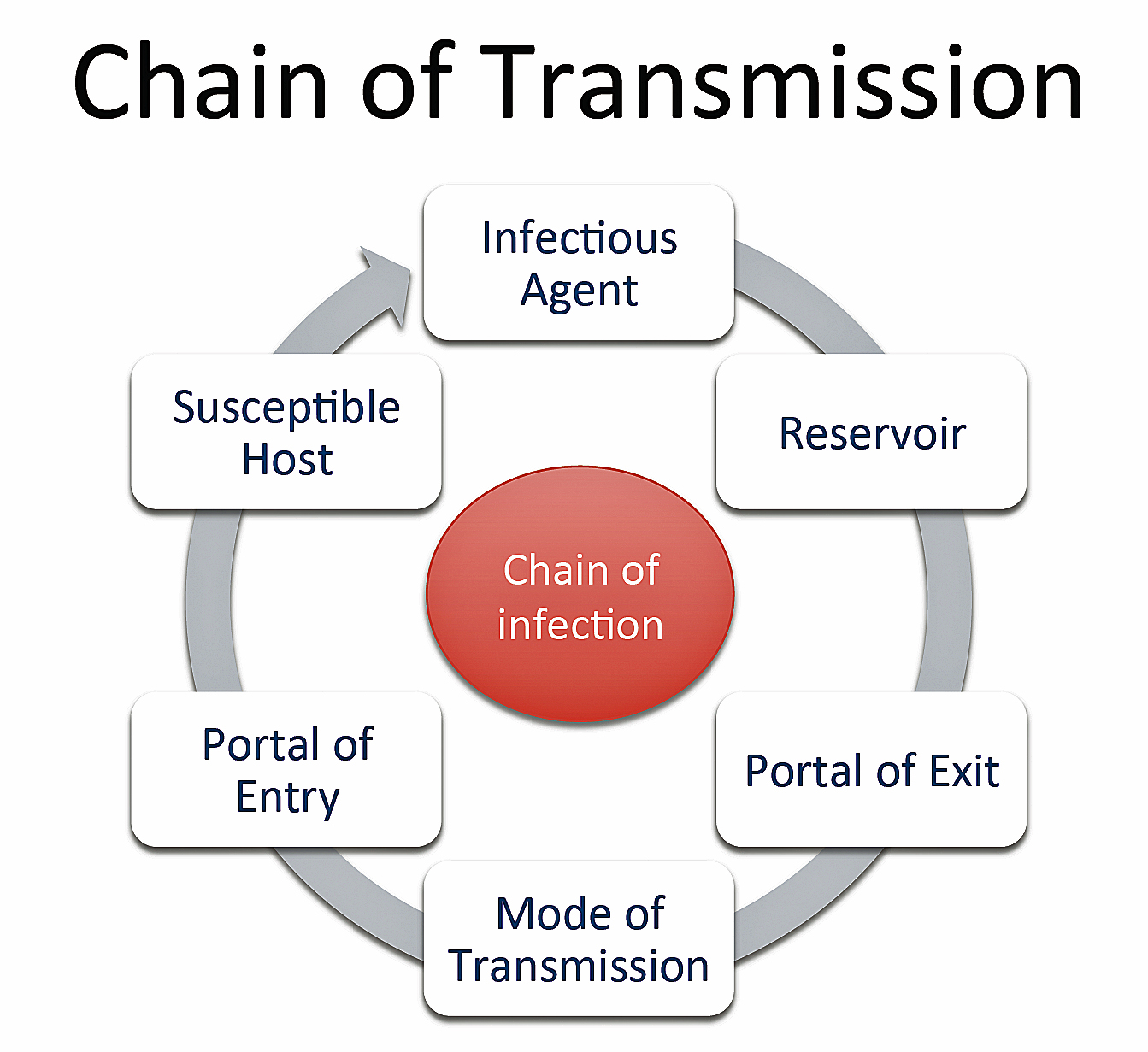 chain-of-transmission-disease-detectives-wiki