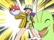 EP263 Casey despues de capturar a Elekid