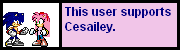 UzerboxMewkat14CesaileyCesarTeamHyro