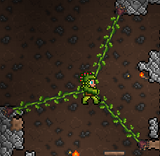 Ivy Whip Used