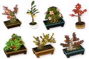 Bonsai Set
