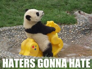 Img-haters-gonna-hate-panda-352