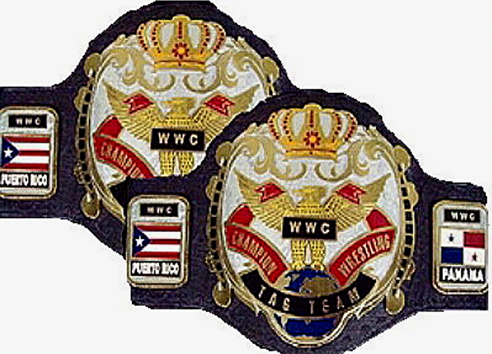 WWC World Tag Team Championship Pro Wrestling Wiki Divas, Knockouts