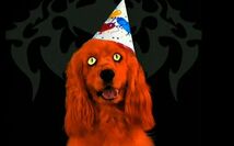 Reddog