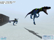 WinterContest2011-11-1120-54-55-72
