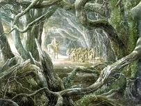 Bosque negro2
