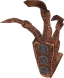 TESV Dragon Claw Coral