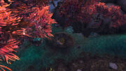 ShanzeDao-FaerieHovel