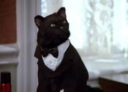 Salem wedding