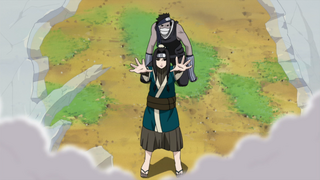 http://static1.wikia.nocookie.net/__cb20120531132927/naruto/images/thumb/9/95/Protective_Ice_Dome.png/320px-Protective_Ice_Dome.png