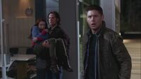 SPN 1319