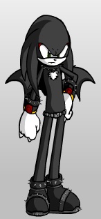 Shadow Echidna