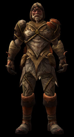 Elemental Cloak SET