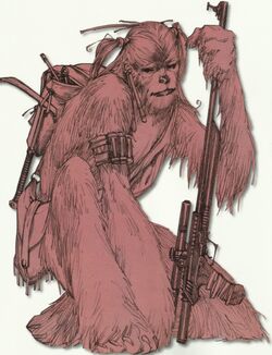 FemaleWookiee-SWGConcept