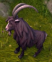 WildShaghorn