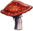 Leaping-toadstool